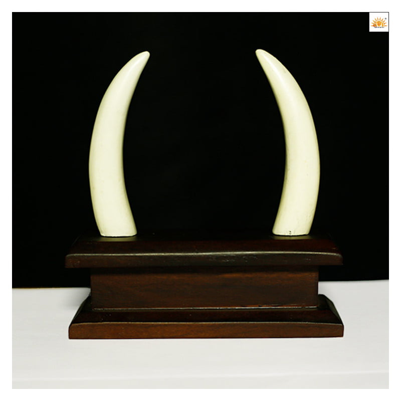 Special Wooden Anakomb For Hoome Special Wooden Anakomb For Hoome