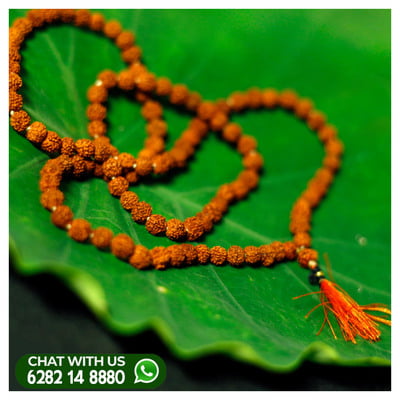 Real Rudraksha japamala 108
