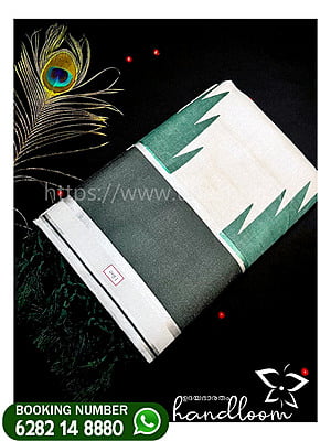 green-and-silver-sari-model---
